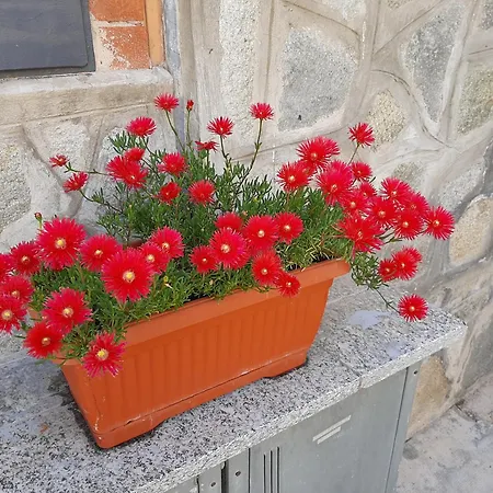 House Vittone Διαμέρισμα Venaria Reale