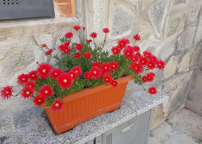House Vittone Apartament Venaria Reale